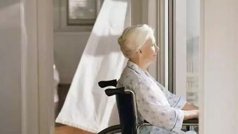 銀發(fā)浪潮下的新銳力量 揭秘網(wǎng)紅級(jí)養(yǎng)老服務(wù)產(chǎn)品的煉成之路